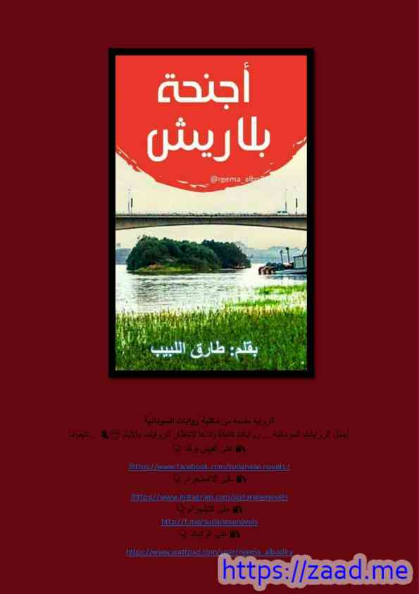 أجنحة بلا ريش - طارق اللبيب