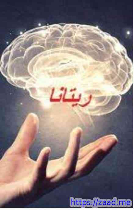 ارض زيكولا (ريتانا) - عمرو عبد الحميد