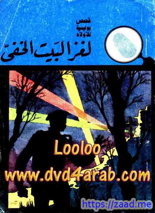 لغز البيت الخفى - محمود سالم