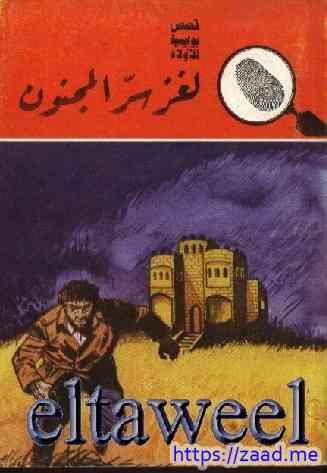 لغز سر المجنون - محمود سالم