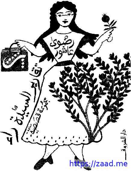 تقارير السيدة راء - رضوى عاشور