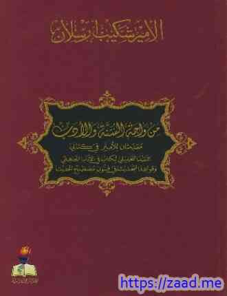 من واحة السنة والأدب مقدمتان للأمير في كتابي النقد التحليلي لكتاب في الأدب الجاهلي وقواعد التحديث في - شكيب ارسلان