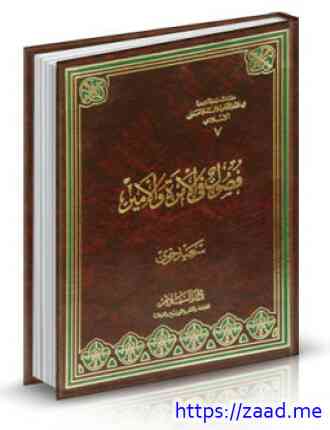 فصول فى الإمرة والأمير - سعيد حوى