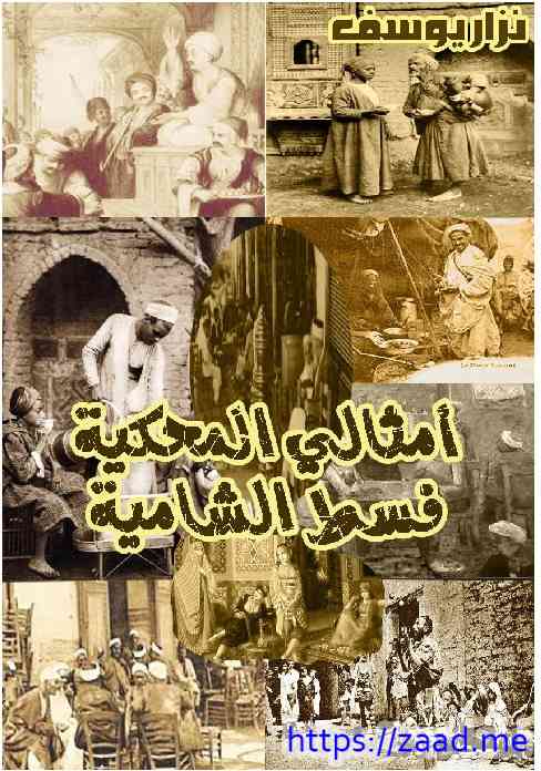 صورة غلاف أمثالي المحكية فسط الشامية