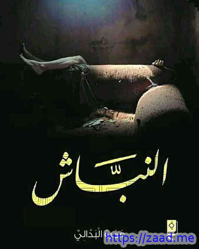 صورة غلاف النباش